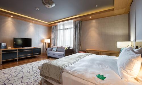 Отель RIXOS Krasnaya Polyana Sochi Эсто-Садок, Красная Поляна, Сочи - Фото 51. Люкс Presidential