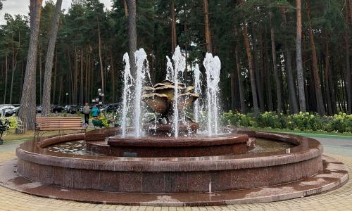 Санаторий Ружанский Брестская область - Фото 17. Территория