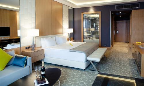 Отель RIXOS Krasnaya Polyana Sochi Эсто-Садок, Красная Поляна, Сочи - Фото 43. Супериор