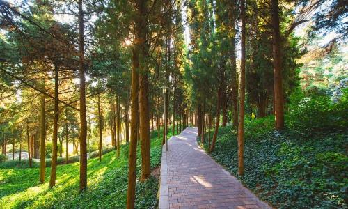 More SPA & Resort / «Море СПА и Резорт» отель Алушта - Фото 17. Территория