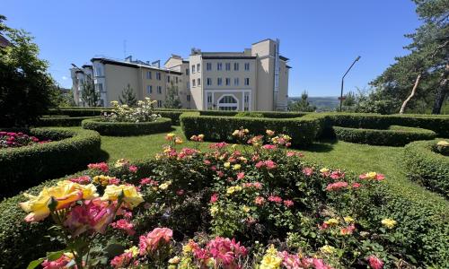 Санаторий Кругозор Кисловодск - Фото 8. Территория