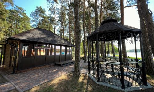 Санаторий Ружанский Брестская область - Фото 27. Территория