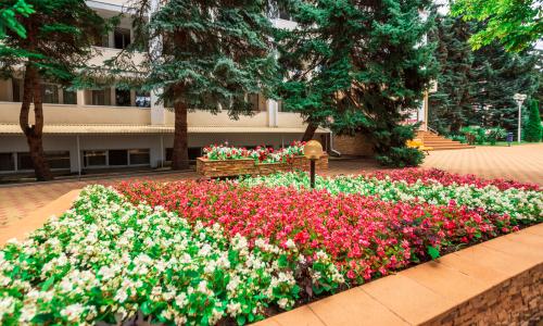Пансионат «Приморский» Дивноморское, Геленджик - Фото 10. Территория