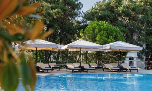 ПРИМОРЬЕ GRAND RESORT HOTEL Геленджик - Фото 78. Бассейн. Корпус № 1