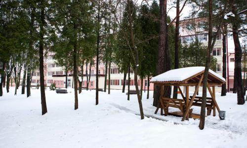 Санаторий Криница Минская область - Фото 14. Территория