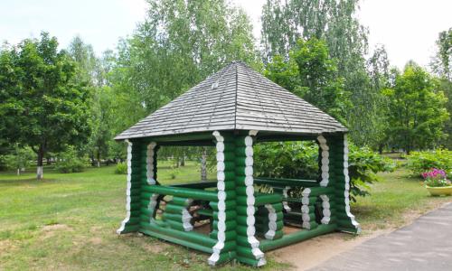 Санаторий Приднепровский Гомельская область - Фото 15. Территория