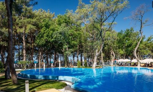 ПРИМОРЬЕ GRAND RESORT HOTEL Геленджик - Фото 69. Бассейн. Корпус № 1