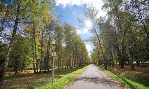 Санаторий Звенигородский (Минобороны РФ) Москва и Подмосковье - Фото 4. Территория