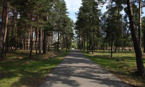 Санаторий Березина Минская область - Фото 14. Территория