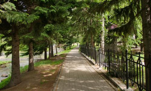 Пансионат Старые друзья Белокуриха - Фото 36. Окрестности