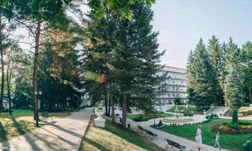 Санаторий Центросоюз Кисловодск - Фото 5. Территория