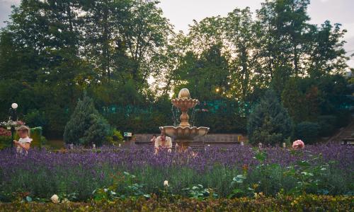 Санаторий Виктория Кисловодск - Фото 6. Территория