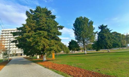 Отель Апсны Гудаута - Фото 18. Территория