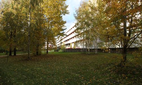 Санаторий Дюны Ленинградская область - Фото 5. Территория