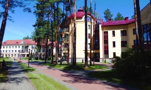 Санаторий Озерный Гродненская область - Фото 13. Территория