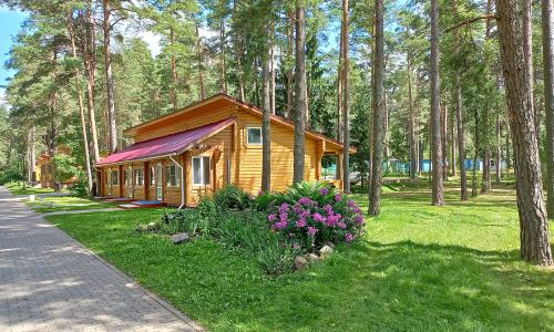 Санаторий Лесные озера Витебская область - Фото 13. Территория