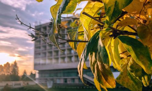 Санаторий Подмосковье УДП РФ Москва и Подмосковье - Фото 18. Общий вид