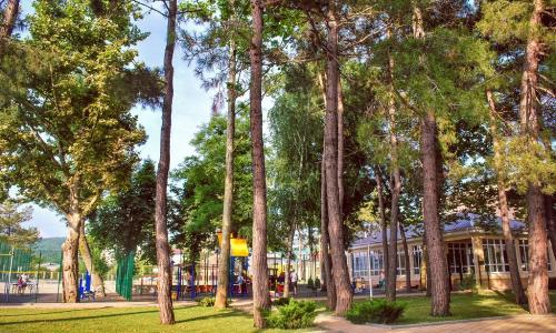 Пансионат «Приморский» Дивноморское, Геленджик - Фото 11. Территория