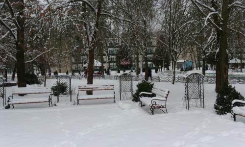 Санаторий БУГ Брестская область - Фото 13. Территория