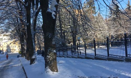 Пансионат Октябрь Кисловодск - Фото 5. Территория