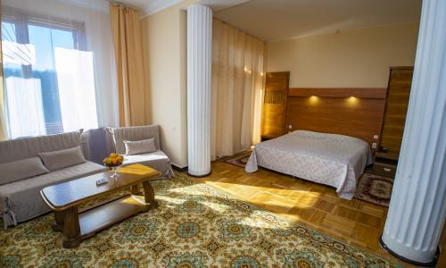 Санаторий Орджоникидзе Кисловодск - Фото 30. Улучшенный 2-местный (студио)