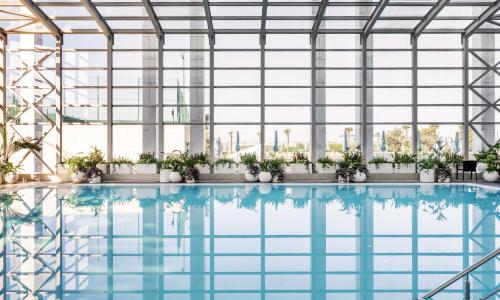 «Mantera Resort Congress 5*» / «Мантера Резорт и Конгресс» отель Сочи - Фото 57. СПА-комплекс (22)