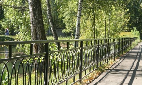 Санаторий Сосны ВОС Москва и Подмосковье - Фото 10. Территория
