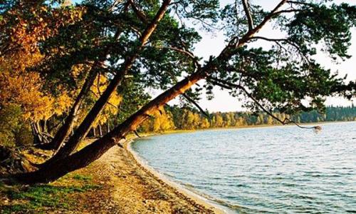 Санаторий Свитязь Гродненская область - Фото 13. Озеро Свитязь