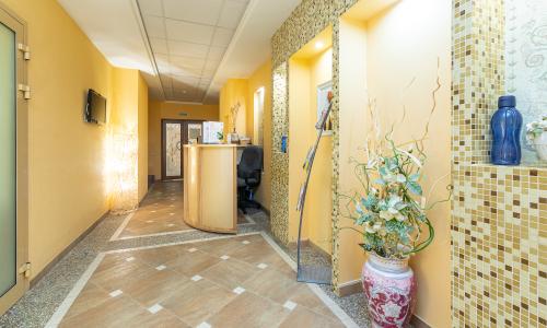 Alex Resort & Spa Hotel Гагра - Фото 52. Спа-ресепшн
