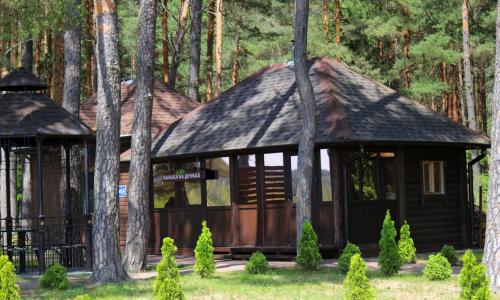 Санаторий Ружанский Брестская область - Фото 13. Территория