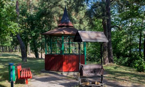 Санаторий Ружанский Брестская область - Фото 22. Территория