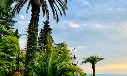 Amra Park-hotel SPA Гагра - Фото 24. Территория