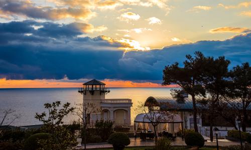 Отель PALMIRA PALACE Ялта - Фото 25. Территория
