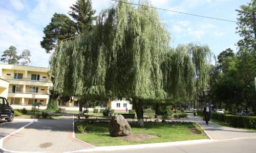 Санаторий Березина Минская область - Фото 13. Территория
