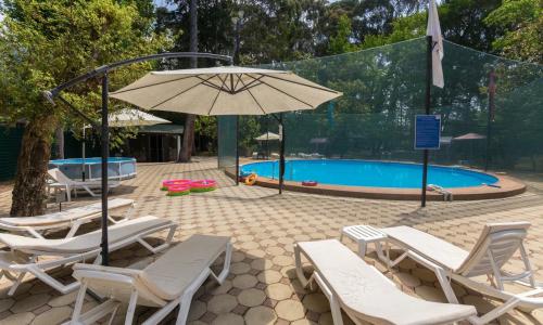 WELLNESS Park Hotel (Велнес Парк) Гагра - Фото 3. бассейн