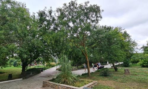 Санаторий Дружба Евпатория - Фото 32. Территория