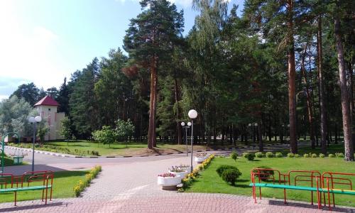 Санаторий Жемчужина Витебская область - Фото 21. Территория