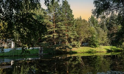 Санаторий Сосны ВОС Москва и Подмосковье - Фото 26. Пруд2