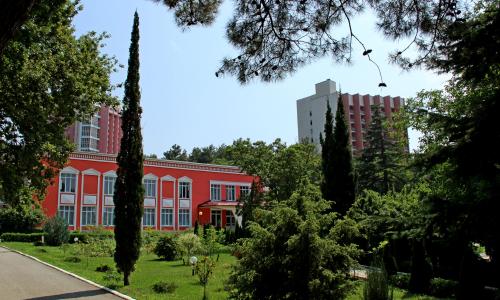 Санаторий Голубая даль Дивноморское, Геленджик - Фото 8. Территория