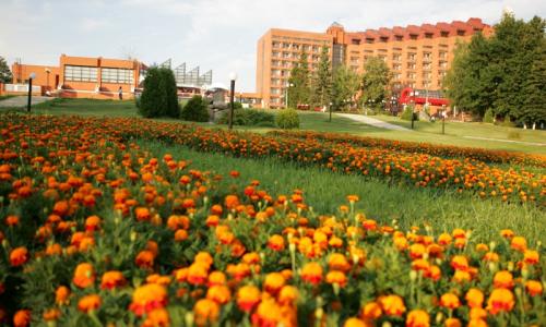 Пансионат Заря Москва и Подмосковье - Фото 8. Территория