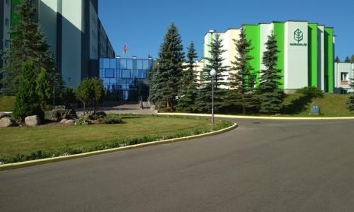 Санаторий Лесное Витебская область - Фото 9. Территория