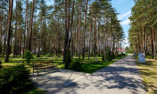 Санаторий Радон Гродненская область - Фото 29. Территория