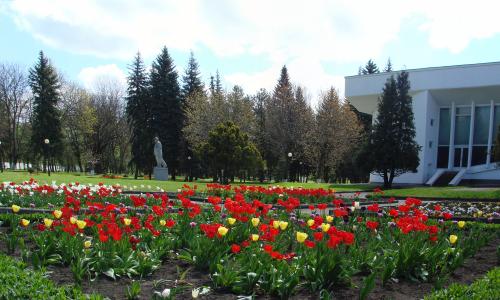 Санаторий Калинина Ессентуки - Фото 5. Территория