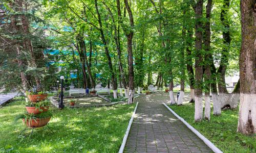 Санаторий 30 лет Победы Железноводск - Фото 7. Территория