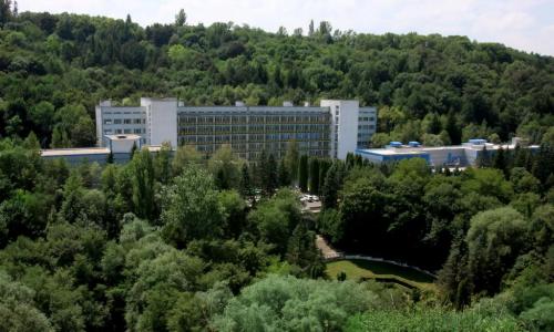 Санаторий Родник Кисловодск - Фото 18. Территория
