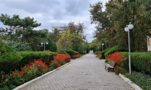 Санаторий Дружба Евпатория - Фото 22. Территория