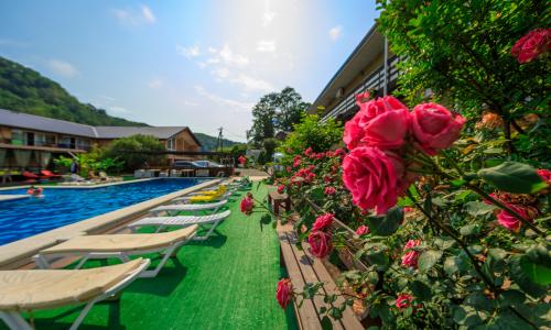 Отель Роз Мари Лазаревское, Сочи - Фото 20. Территория