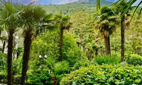 Amra Park-hotel SPA Гагра - Фото 26. Территория