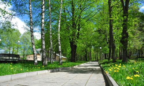 Санаторий Орджоникидзе Кисловодск - Фото 9. Территория