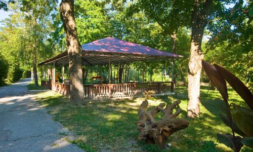 Пансионат Южный (БЕТТА) Геленджик - Фото 8. Территория